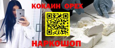спайс Кингисепп