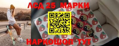 спайс Кингисепп