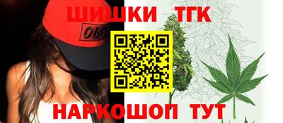 спайс Кингисепп