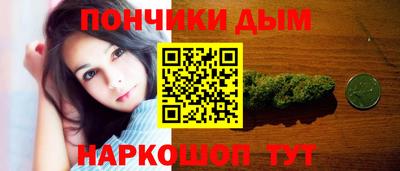 спайс Кингисепп