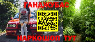 спайс Кингисепп