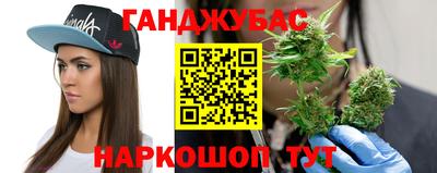 спайс Кингисепп
