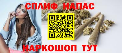 спайс Кингисепп