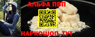 спайс Кингисепп