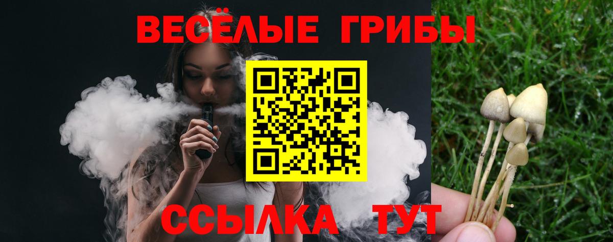 Галлюциногенные грибы MAGIC MUSHROOMS  Вход с VPN  Котельники 